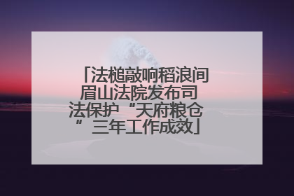 法槌敲响稻浪间 眉山法院发布司法保护“天府粮仓”三年工作成效
