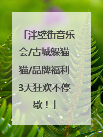 泮壁街音乐会/古城躲猫猫/品牌福利3天狂欢不停歇！