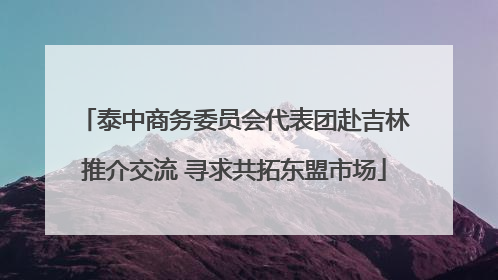 泰中商务委员会代表团赴吉林推介交流 寻求共拓东盟市场