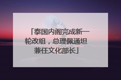 泰国内阁完成新一轮改组，总理佩通坦兼任文化部长