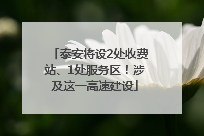 泰安将设2处收费站、1处服务区！涉及这一高速建设