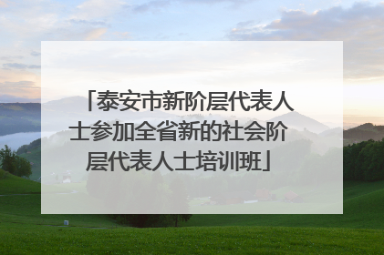 泰安市新阶层代表人士参加全省新的社会阶层代表人士培训班
