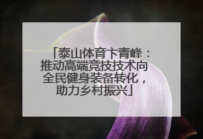泰山体育卞青峰：推动高端竞技技术向全民健身装备转化，助力乡村振兴
