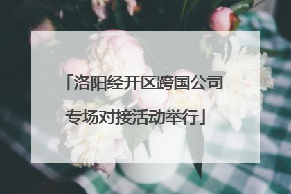 洛阳经开区跨国公司专场对接活动举行