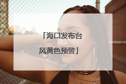 海口发布台风黄色预警