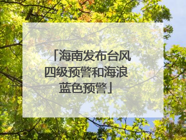 海南发布台风四级预警和海浪蓝色预警
