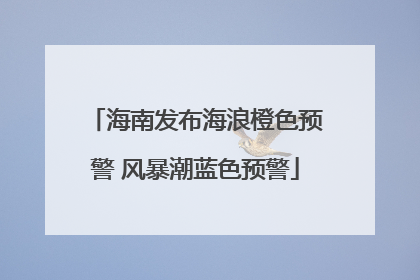 海南发布海浪橙色预警 风暴潮蓝色预警