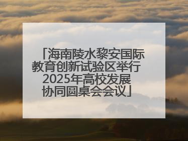 海南陵水黎安国际教育创新试验区举行2025年高校发展协同圆桌会会议