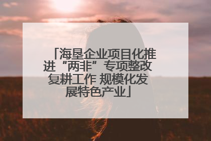 海垦企业项目化推进“两非”专项整改复耕工作 规模化发展特色产业