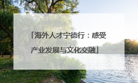 海外人才宁德行：感受产业发展与文化交融