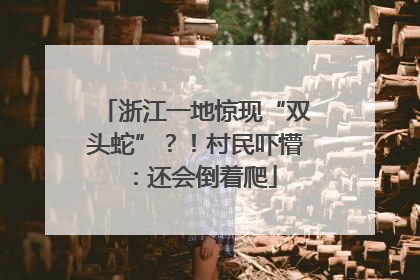 浙江一地惊现“双头蛇”？！村民吓懵：还会倒着爬