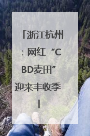 浙江杭州：网红“CBD麦田”迎来丰收季