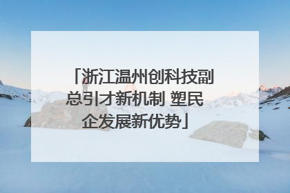 浙江温州创科技副总引才新机制 塑民企发展新优势