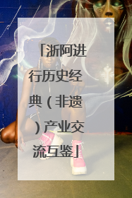 浙阿进行历史经典（非遗）产业交流互鉴