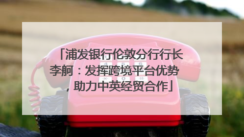浦发银行伦敦分行行长李舸：发挥跨境平台优势，助力中英经贸合作
