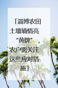 淄博农田土壤墒情亮“黄牌”，农户需关注这些应对措施