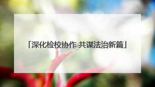 深化检校协作 共谋法治新篇