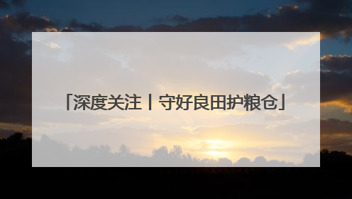 深度关注丨守好良田护粮仓