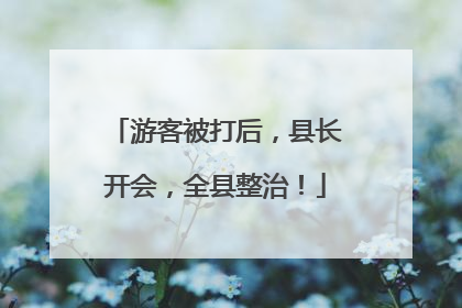 游客被打后，县长开会，全县整治！