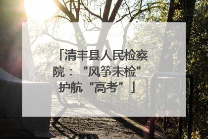清丰县人民检察院：“风筝未检”护航“高考”