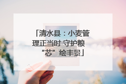 清水县：小麦管理正当时 守护粮“芯”绘丰景