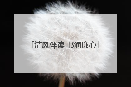 清风伴读 书润廉心