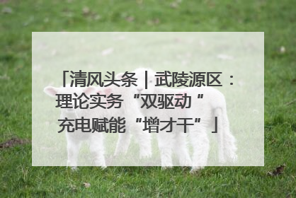 清风头条｜武陵源区：理论实务“双驱动 ” 充电赋能“增才干”