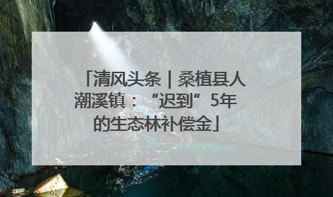清风头条｜桑植县人潮溪镇：“迟到”5年的生态林补偿金