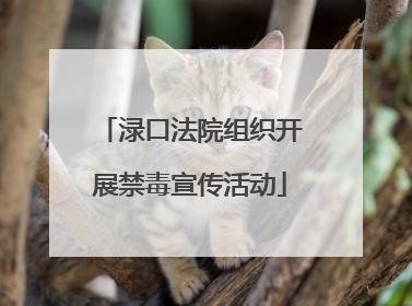 渌口法院组织开展禁毒宣传活动