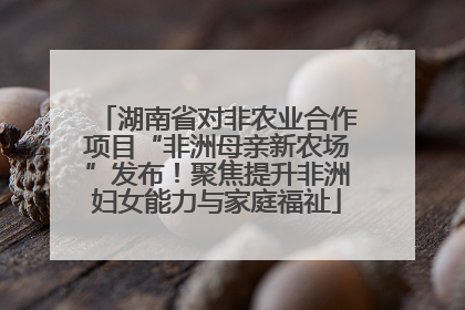湖南省对非农业合作项目“非洲母亲新农场”发布！聚焦提升非洲妇女能力与家庭福祉