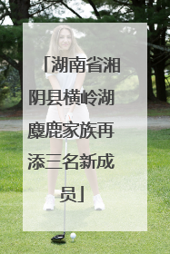 湖南省湘阴县横岭湖麋鹿家族再添三名新成员