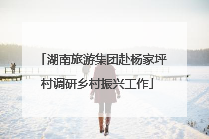 湖南旅游集团赴杨家坪村调研乡村振兴工作