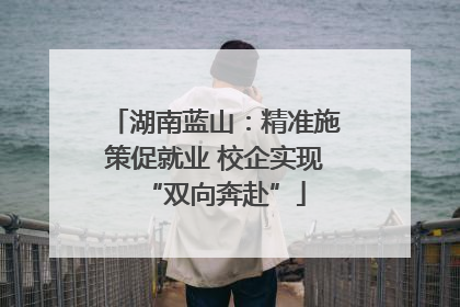 湖南蓝山：精准施策促就业 校企实现“双向奔赴”