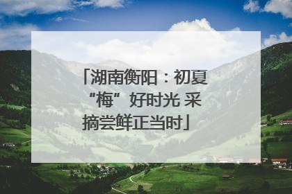湖南衡阳：初夏“梅”好时光 采摘尝鲜正当时