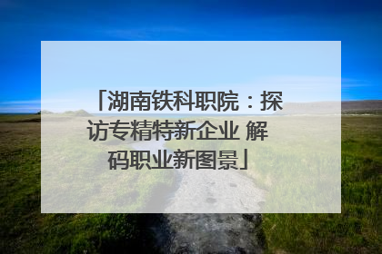 湖南铁科职院：探访专精特新企业 解码职业新图景