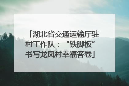 湖北省交通运输厅驻村工作队：“铁脚板”书写龙凤村幸福答卷
