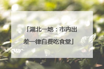 湖北一地：市内出差一律自费吃食堂