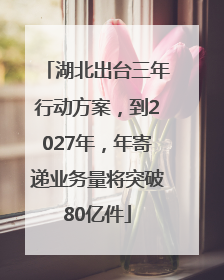 湖北出台三年行动方案，到2027年，年寄递业务量将突破80亿件