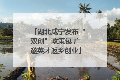 湖北咸宁发布“双创”政策包 广邀英才返乡创业