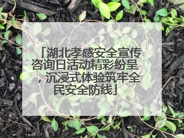 湖北孝感安全宣传咨询日活动精彩纷呈，沉浸式体验筑牢全民安全防线