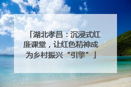 湖北孝昌：沉浸式红廉课堂，让红色精神成为乡村振兴“引擎”