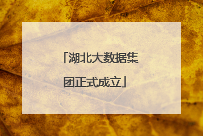 湖北大数据集团正式成立