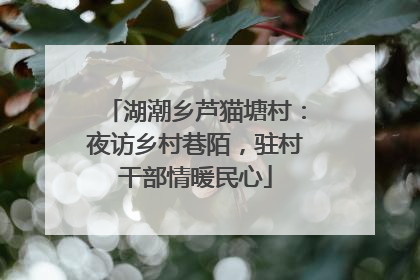 湖潮乡芦猫塘村：夜访乡村巷陌，驻村干部情暖民心