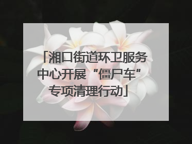 湘口街道环卫服务中心开展“僵尸车”专项清理行动