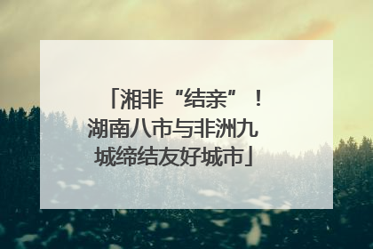 湘非“结亲”！湖南八市与非洲九城缔结友好城市