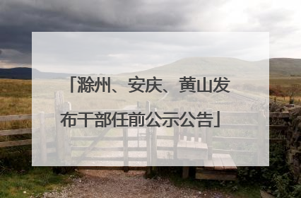 滁州、安庆、黄山发布干部任前公示公告