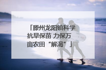 滕州龙阳镇科学抗旱保苗 力保万亩农田“解渴”