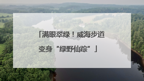 满眼翠绿！威海步道变身“绿野仙踪”