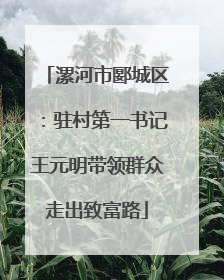 漯河市郾城区：驻村第一书记王元明带领群众走出致富路