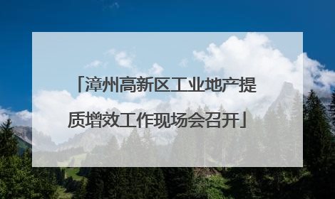漳州高新区工业地产提质增效工作现场会召开